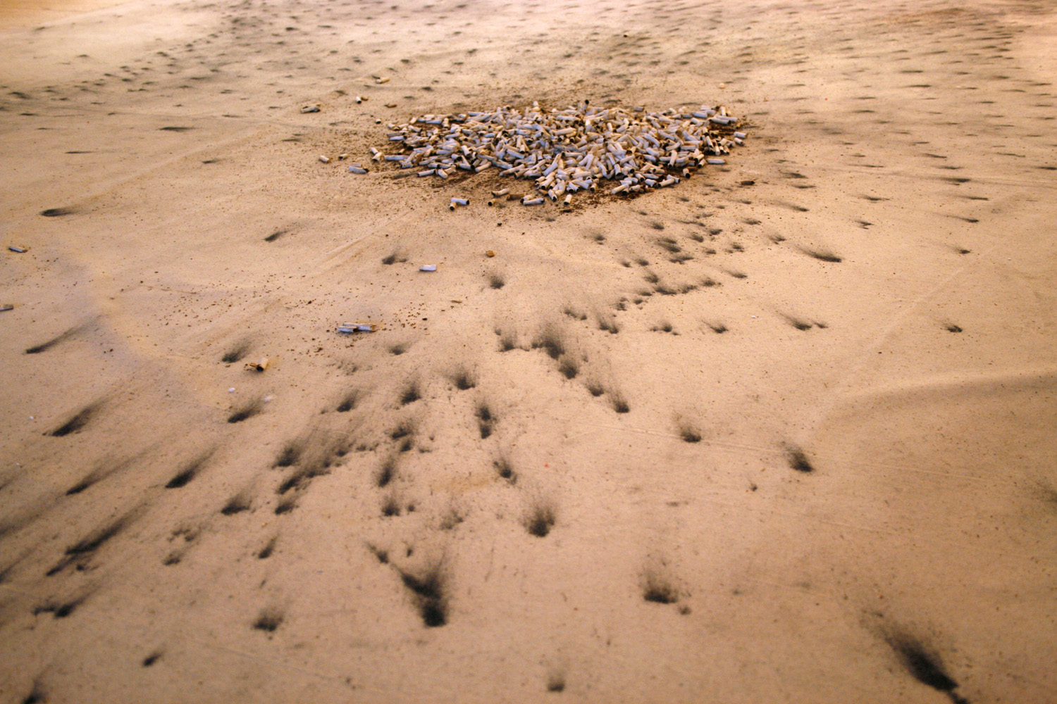 Detalle de El melic del mon #3, el cul de la terra, Galería Maior Pollença, 2009