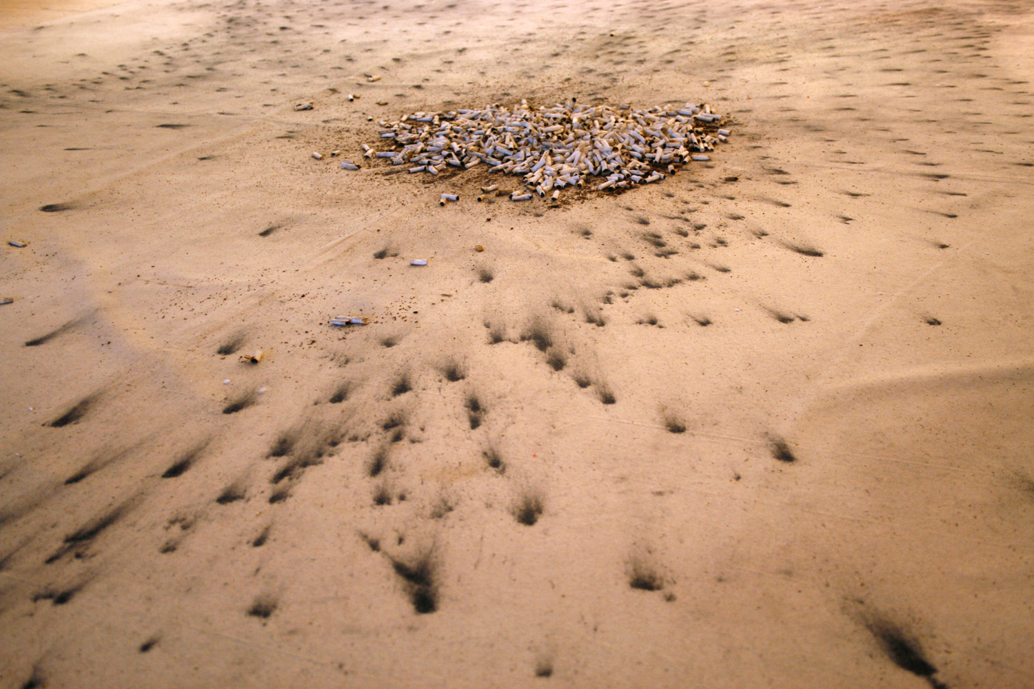 Detail of El melic del mon #3, el cul de la terra, Galería Maior Pollença, 2009