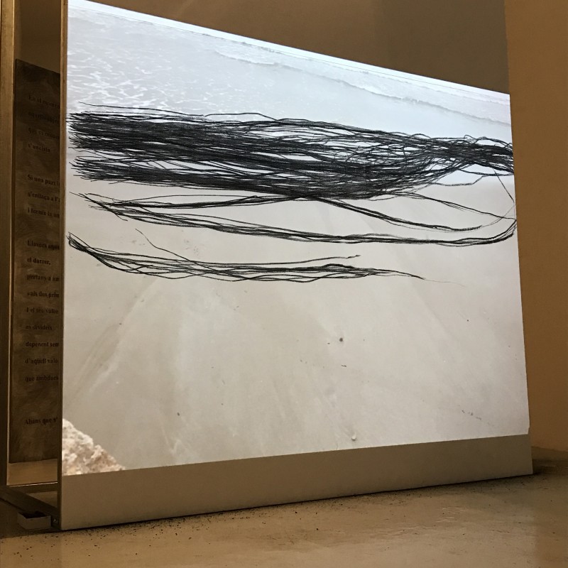 En el moment que suneixen, 2017, Charcoal on wood, 200 x 240 cm.