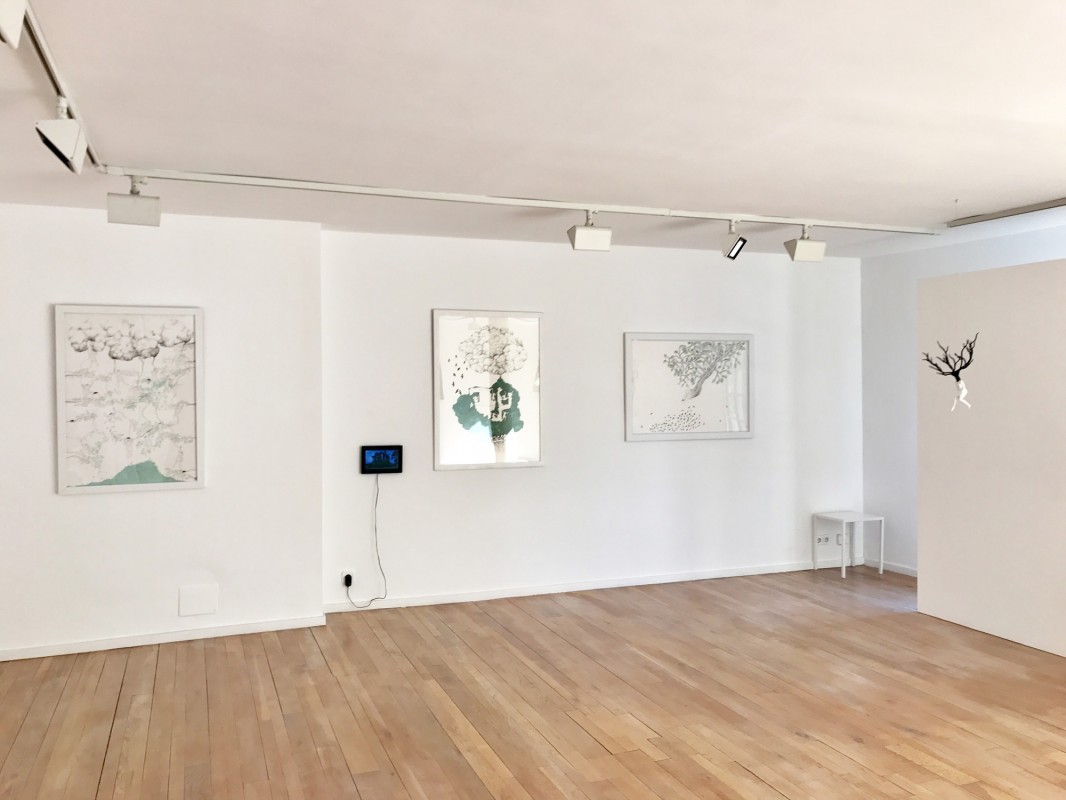 Installation view