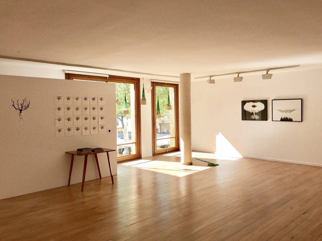 Installation view