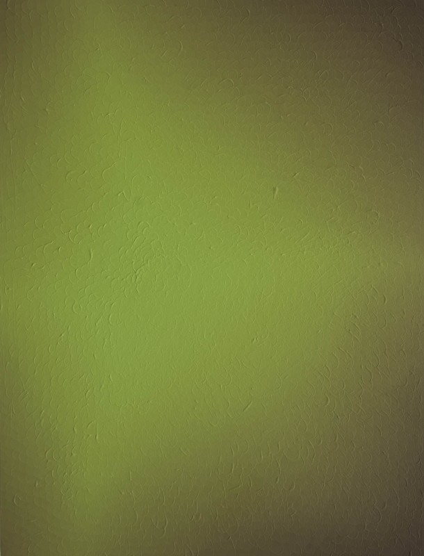 S/T, 2016, acrilico sobre lienzo, 80 x 60 cm.