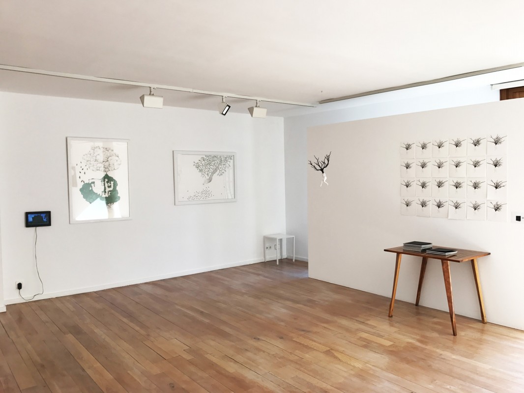 Exhibition view in Pollensa, 2017