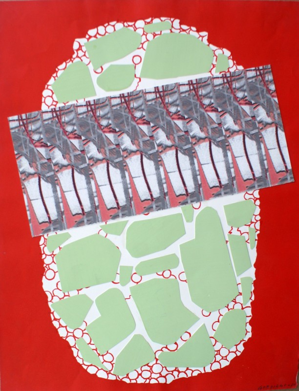 S/T, 2013, tecnica mixta sobre papel, 70 x 50 cm.