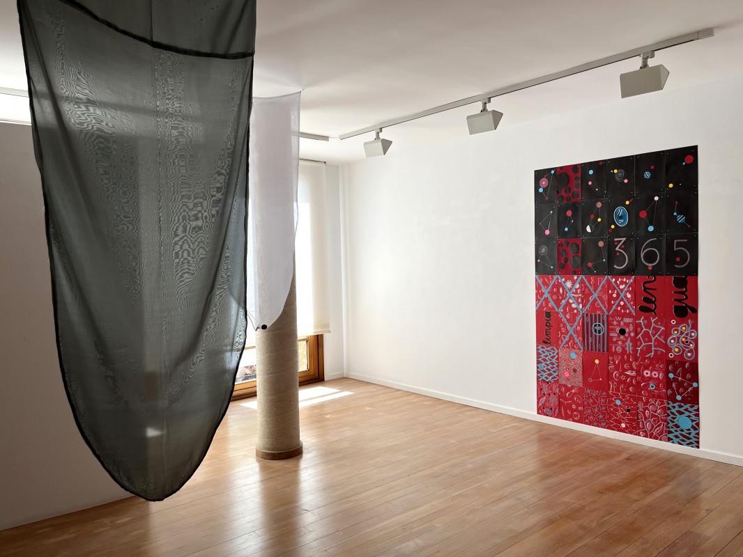 Lenguas installation view