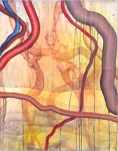 Serie ‘Sistema Circulatorio s/t sc 14’, 1996, técnica mixta sobre papel, 76 x 57 cm. 