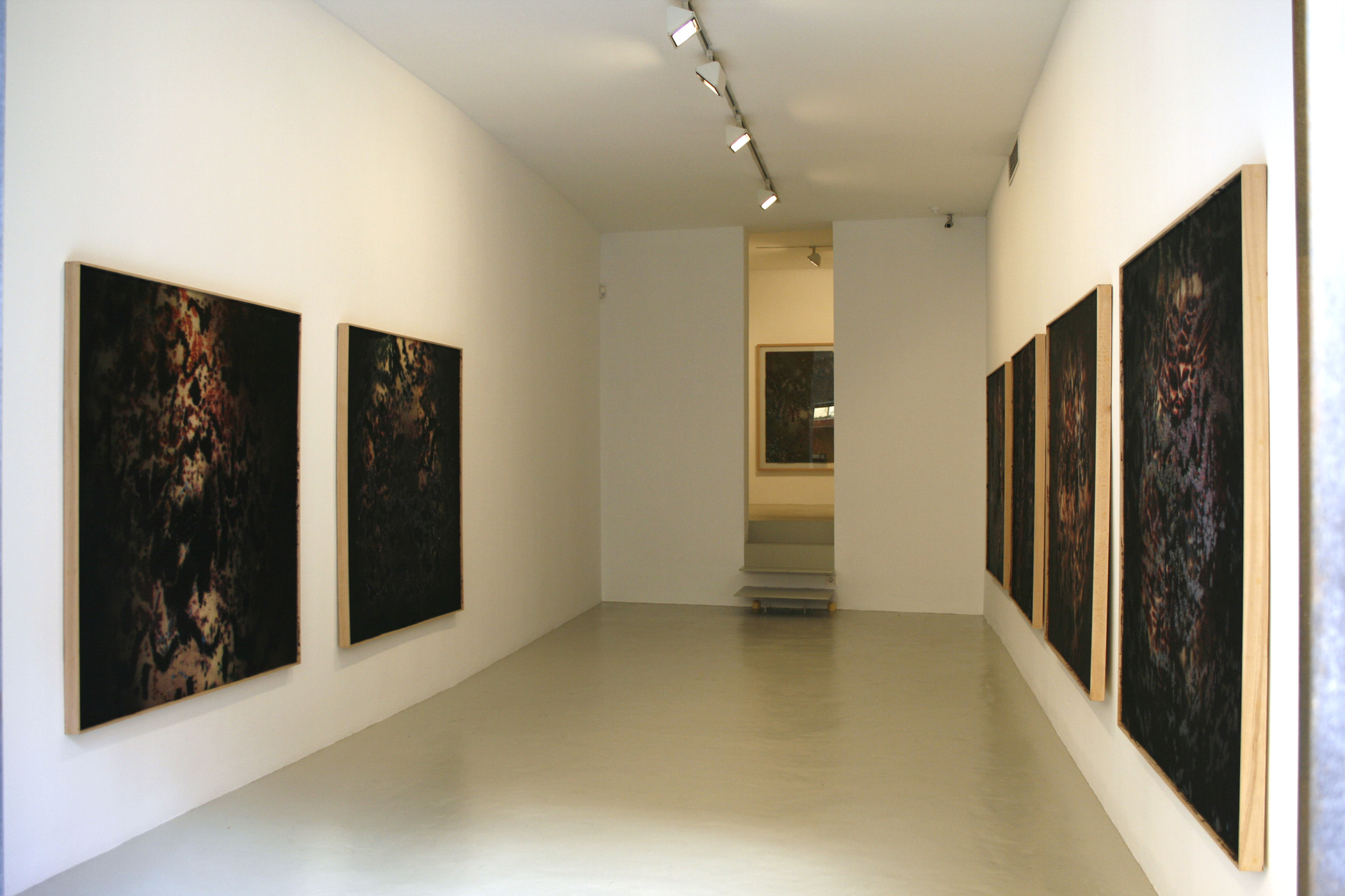 Vista de la exposición de Jose Maria Sicilia, 2007