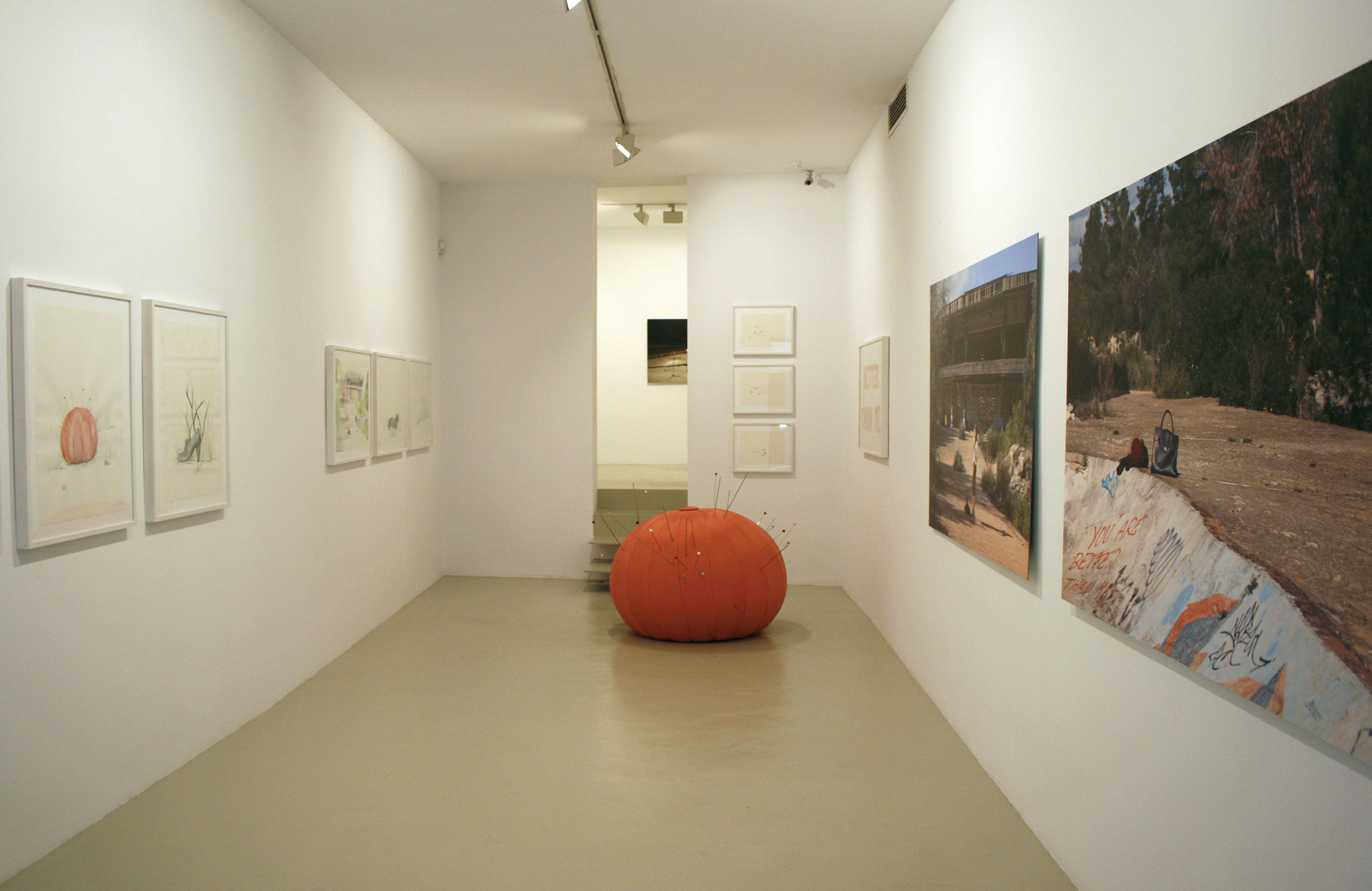 Vista de la exposición de Aina Perelló, 2008