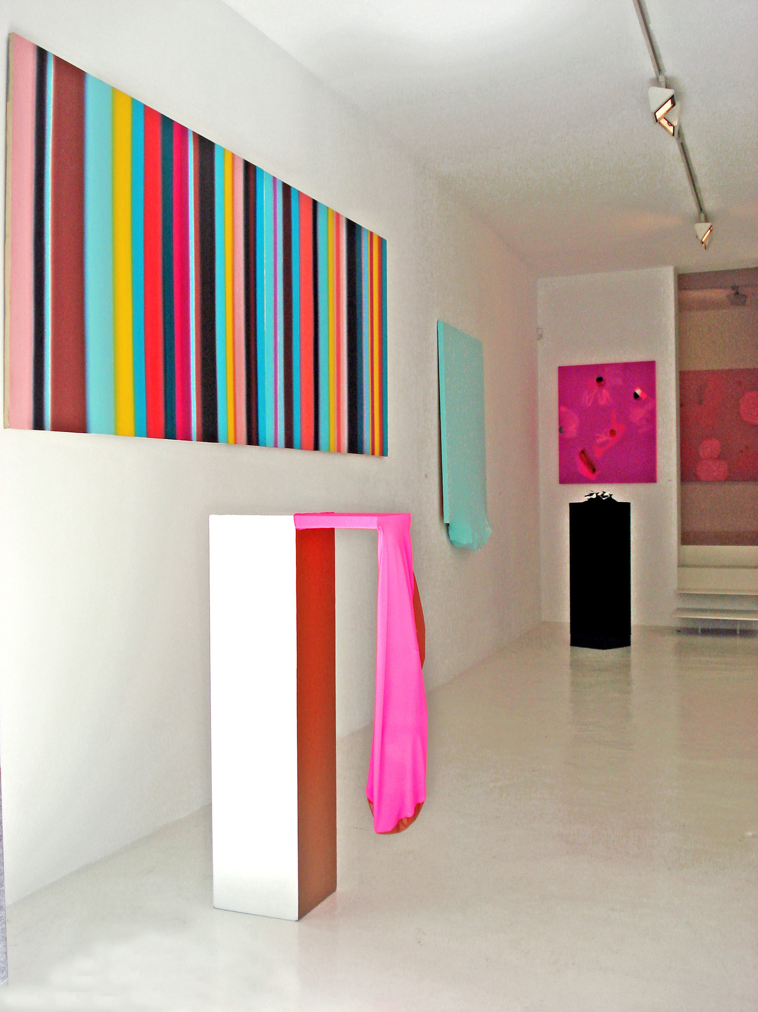 Exhibition view from Victoria Encinas, 2009