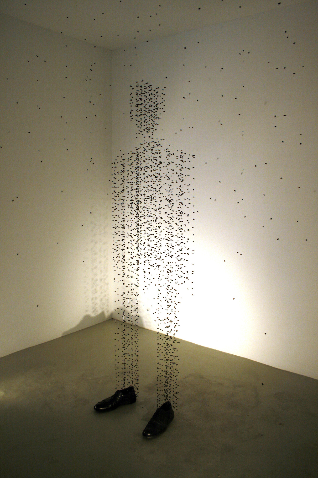 Vista de la instalación Schuhe, die Stile brechen, nylon y moscas,  en la Galería de Palma, 2008