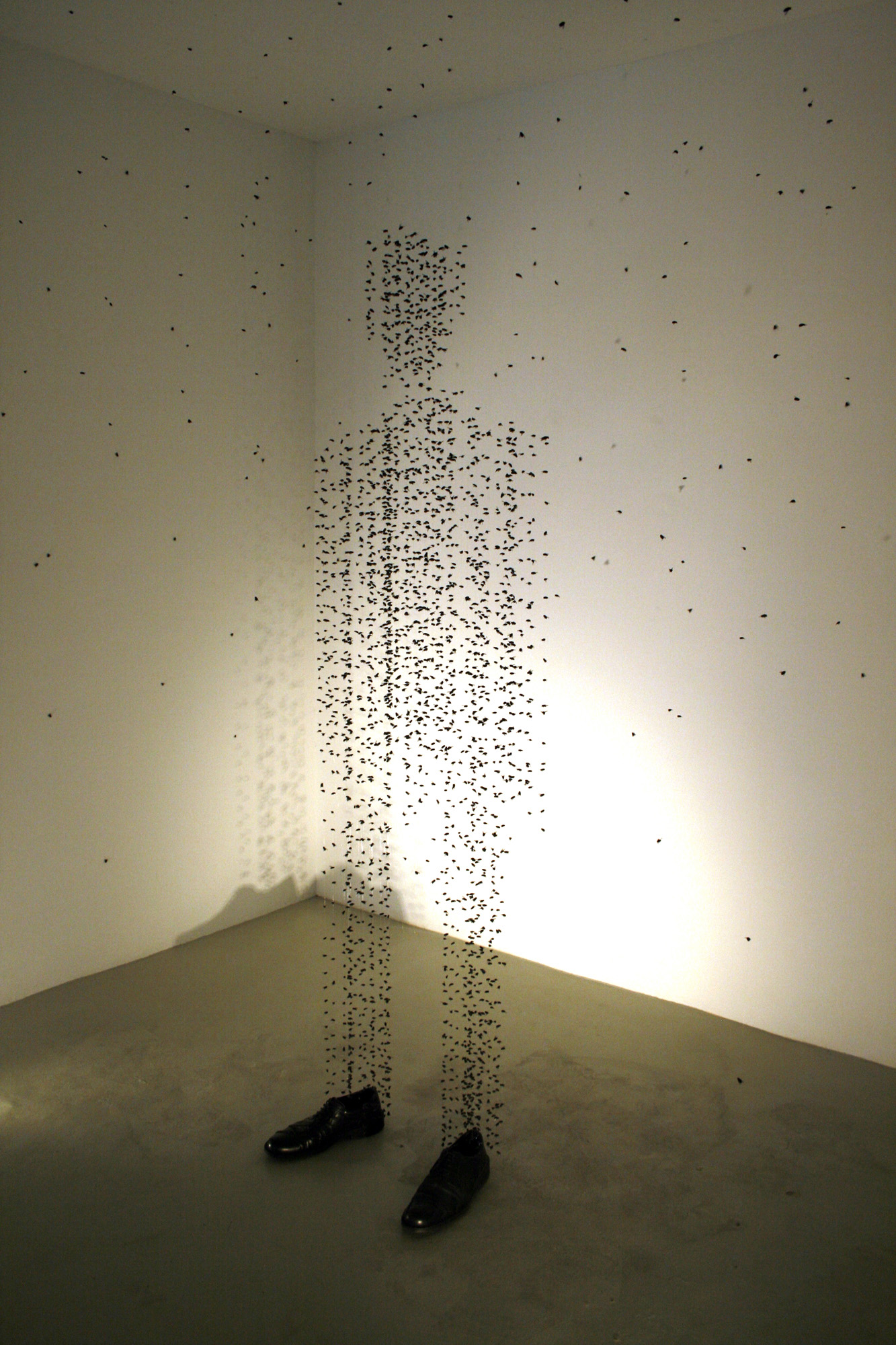 Installation Schuhe, die Stile brechen view, nylon and flies,  in the Galeria Maior, 2008